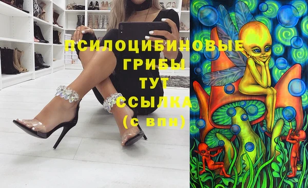 сатива Ладушкин